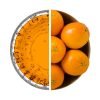 orange l NUTREND CARNITINE 100 000