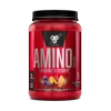 bsn-1047393_Image_01 BSN AMINO X
