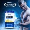 allegro_Glycofuse_30serving_870g_Ice-Lemon_1 GASPARI NUTRITION GLYCOFUSE