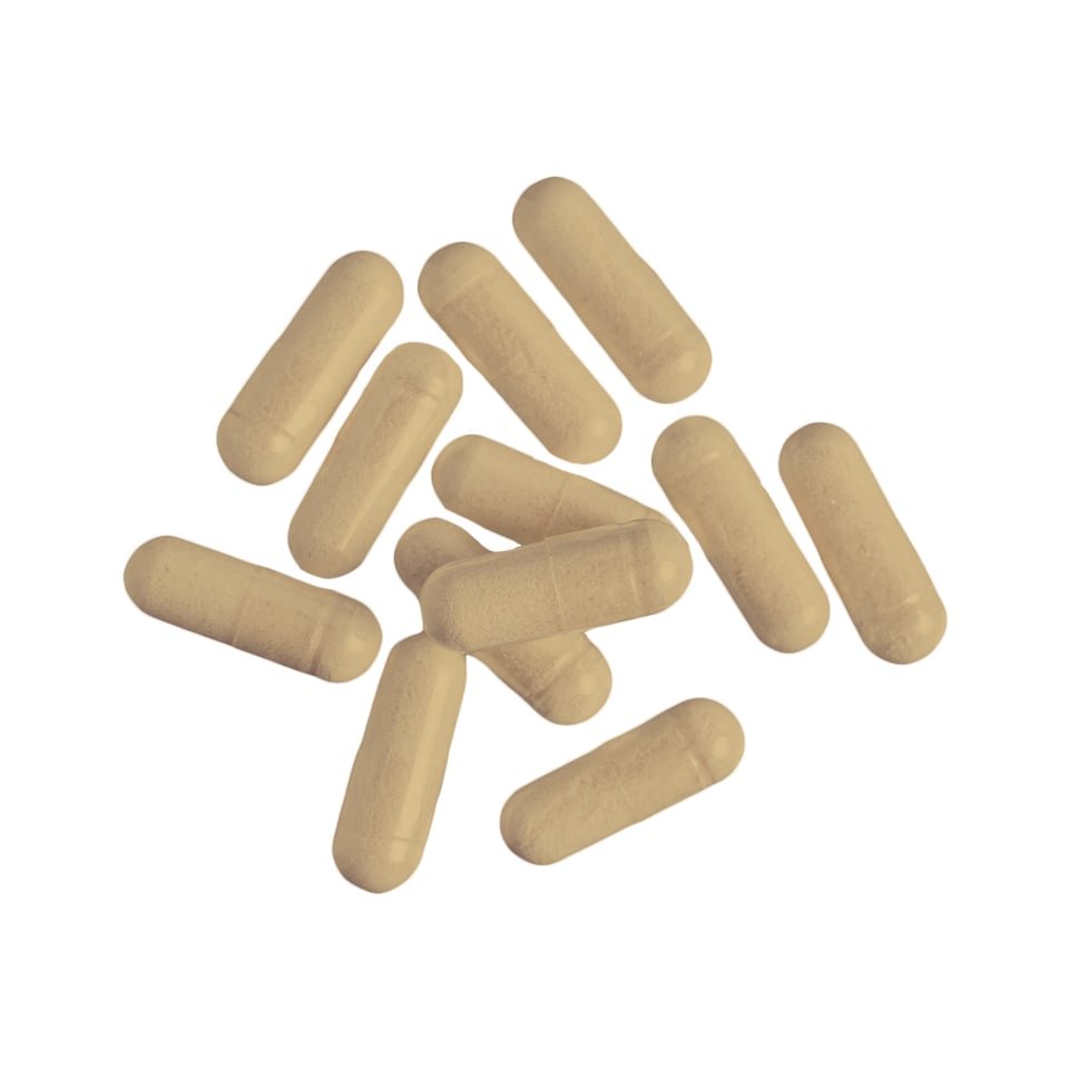 32 NUTREND TRIBULUS TERRESTRIS TURBO