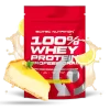 13922_647bc156e3ad SCITEC NUTRITION 100% WHEY PROTEIN PROFESSIONAL