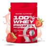 13922_c7ccbbde21e0 SCITEC NUTRITION 100% WHEY PROTEIN PROFESSIONAL