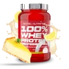 4810_af3dbd4f33c5 SCITEC NUTRITION 100% WHEY PROTEIN PROFESSIONAL