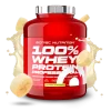 5146_314224350a31 SCITEC NUTRITION 100% WHEY PROTEIN PROFESSIONAL