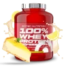 5146_6097514b0ebb SCITEC NUTRITION 100% WHEY PROTEIN PROFESSIONAL